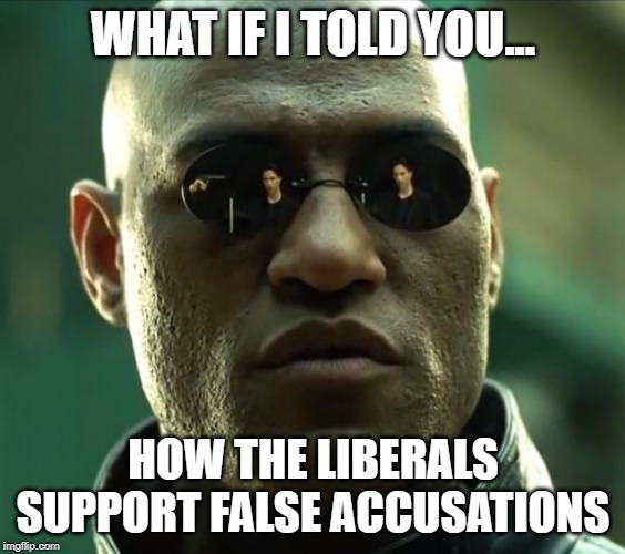 liberals support false accusations